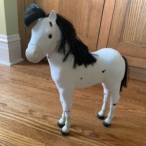 Kaya's Foal, Sparks Flying- NO LONGER SOLD ON AG